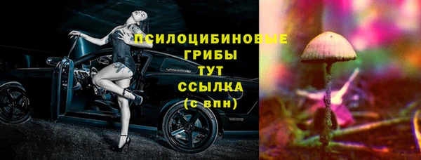 скорость Елизово