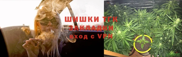 ГАЛЛЮЦИНОГЕННЫЕ ГРИБЫ Заводоуковск