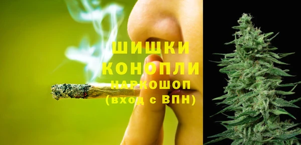 бошки Елабуга