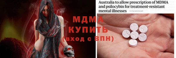 тгк Дмитриев