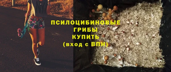 бошки Елабуга