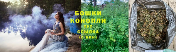 первитин Гусь-Хрустальный